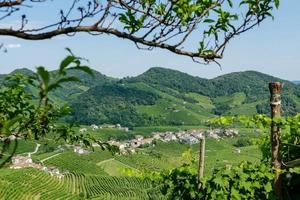 Landscape in Thailand photo