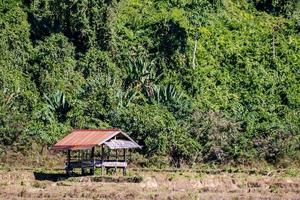 Rural landscape in East Asia photo