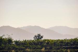 Rural landscape in East Asia photo