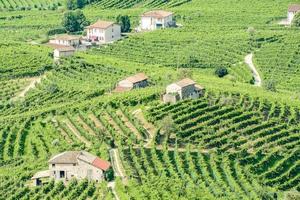 Landscape at Rome in Italy photo