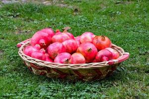 Red fruit in basket photo