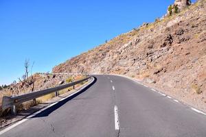 Road with vegetation view photo