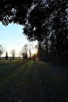 Trees on the path photo