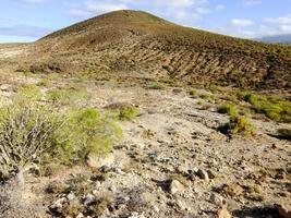 Landscape on the Canary Islands photo