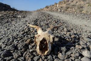 paisaje en las islas canarias foto