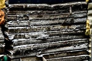 Rustic wood texture photo