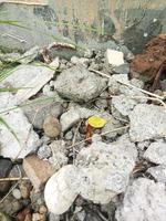 fragmentos de murciélagos, demolición de grietas en las paredes de casas o edificios altos. escombros de construcción del terremoto. foto