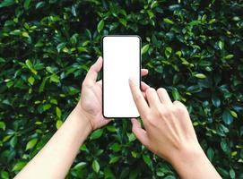 mujer que usa un teléfono inteligente con pantalla en blanco para una maqueta sobre fondo de hoja verde natural. foto