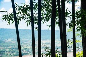 The silhouette bamboo with the top view of Nong Khai provice, Thailand photo