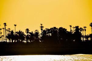 Sunset and silhouettes photo