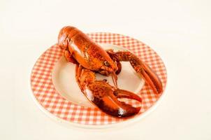 Lobster on white background photo