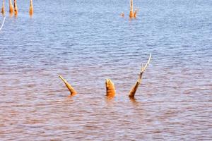 Beach water view photo