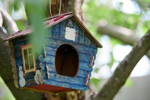 Birdhouse on tree photo