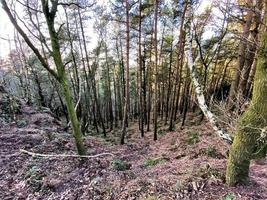 una vista de la campiña de cheshire cerca del castillo de beeston foto