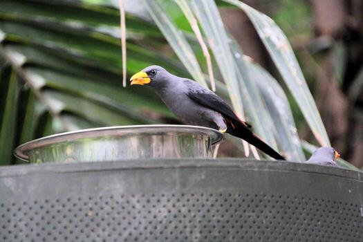 una vista de un pájaro en un árbol foto