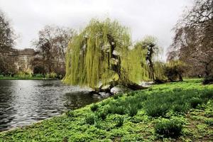 London in the UK in June 2021. A view of St James Park in London photo