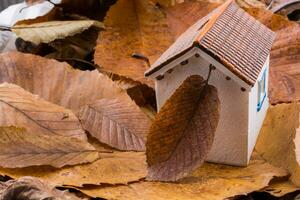 pequeña casa modelo coloca en hojas de otoño