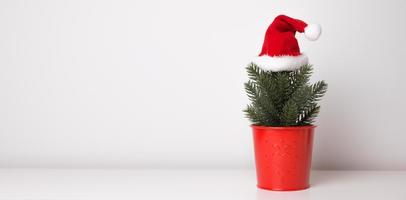 Minimalistic banner with santa hat on cute little christmas tree in red bucket.Banner with place for text. photo