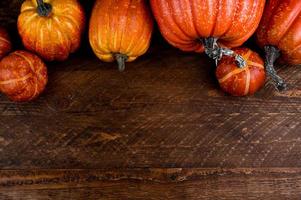 harvest,thanksgiving,halloween copy space banner.Pumpkin on weed background photo