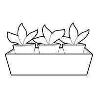 Young sprout seedlings in a flower box icon vector