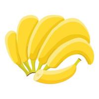 Bunch of banana icon cartoon vector. Fruit food vector