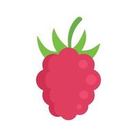 Fresh raspberry icon flat isolated vector