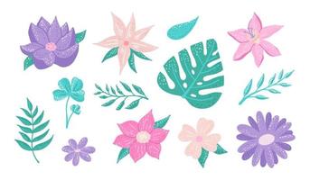 Collection of vector flowers and plants. Set of decorative floral design elements for the design of postcards, invitations