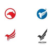 halcón, águila, pájaro, logotipo, plantilla, vector