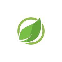 Eco Tree Leaf Logo vector