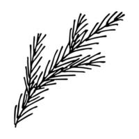 Hand drawn spruce branch clipart. Twig of coniferous tree doodle. Christmas and winter design element vector