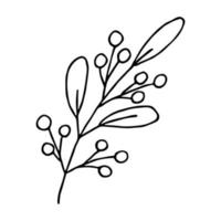 Hand drawn branch with berries and leaves. Christmas doodle. Winter clipart. Single design element vector