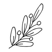Hand drawn branch with berries and leaves. Christmas doodle. Winter clipart. Single design element vector