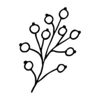 Hand drawn winter branch with berries clipart. Christmas doodle. Single design element vector