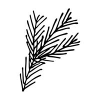 Hand drawn spruce branch clipart. Twig of coniferous tree doodle. Christmas and winter design element vector