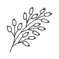 Hand drawn winter branch with berries clipart. Christmas doodle. Single design element vector