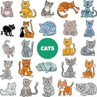 cartoon cats and kittens characters big set vector