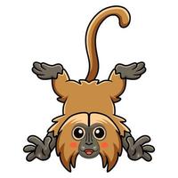 Cute little gelada monkey cartoon posing vector
