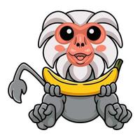 Cute little hamadryad monkey cartoon holding a banana vector