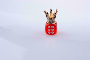 Crown with a dice photo