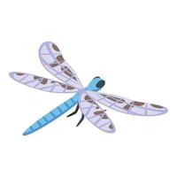 Dragonfly icon isometric vector. Insect wing vector