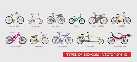 Set of differrent types of bicycles flat infographic vector illustration colorful