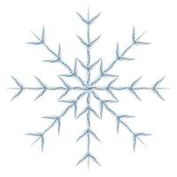 Abstract image snowflake by different patterned lines in trendy wintry muted hues. Icon. Isolate vector