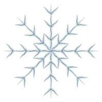 Abstract image snowflake by different patterned lines in trendy wintry muted hues. Icon. Isolate vector