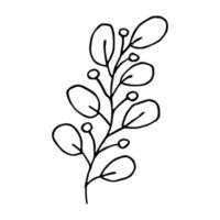 Hand drawn branch with berries and leaves. Christmas doodle. Winter clipart. Single design element vector