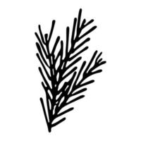 Hand drawn spruce branch clipart. Twig of coniferous tree doodle. Christmas and winter design element vector