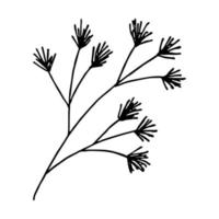 clipart de rama de abeto dibujado a mano. ramita de garabato de árbol de coníferas. elemento de diseño de navidad e invierno vector
