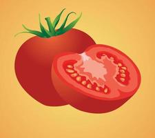 ilustración aislada de vector de tomate en rodajas frescas