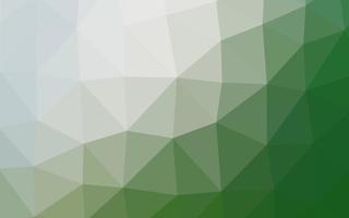 Light Green vector low poly cover.