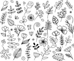 black and white herbal doodle vector