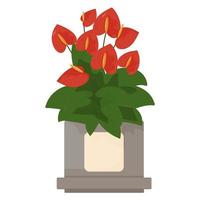 Houseplant Plant Anthurium vector